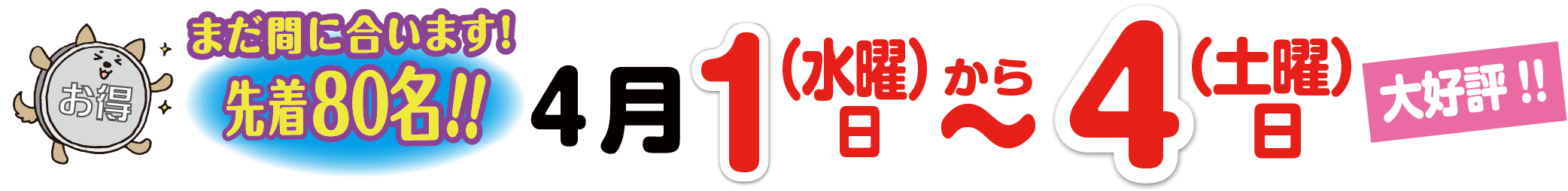 WEB限定！特別キャンペーン